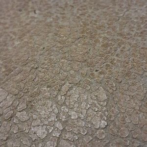 Meet your Posher, Bryson